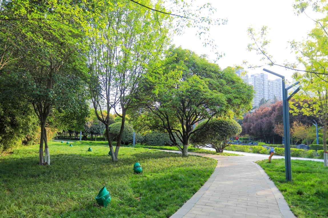 放纵任性是儿童的权利,玩耍是小孩子天性名句