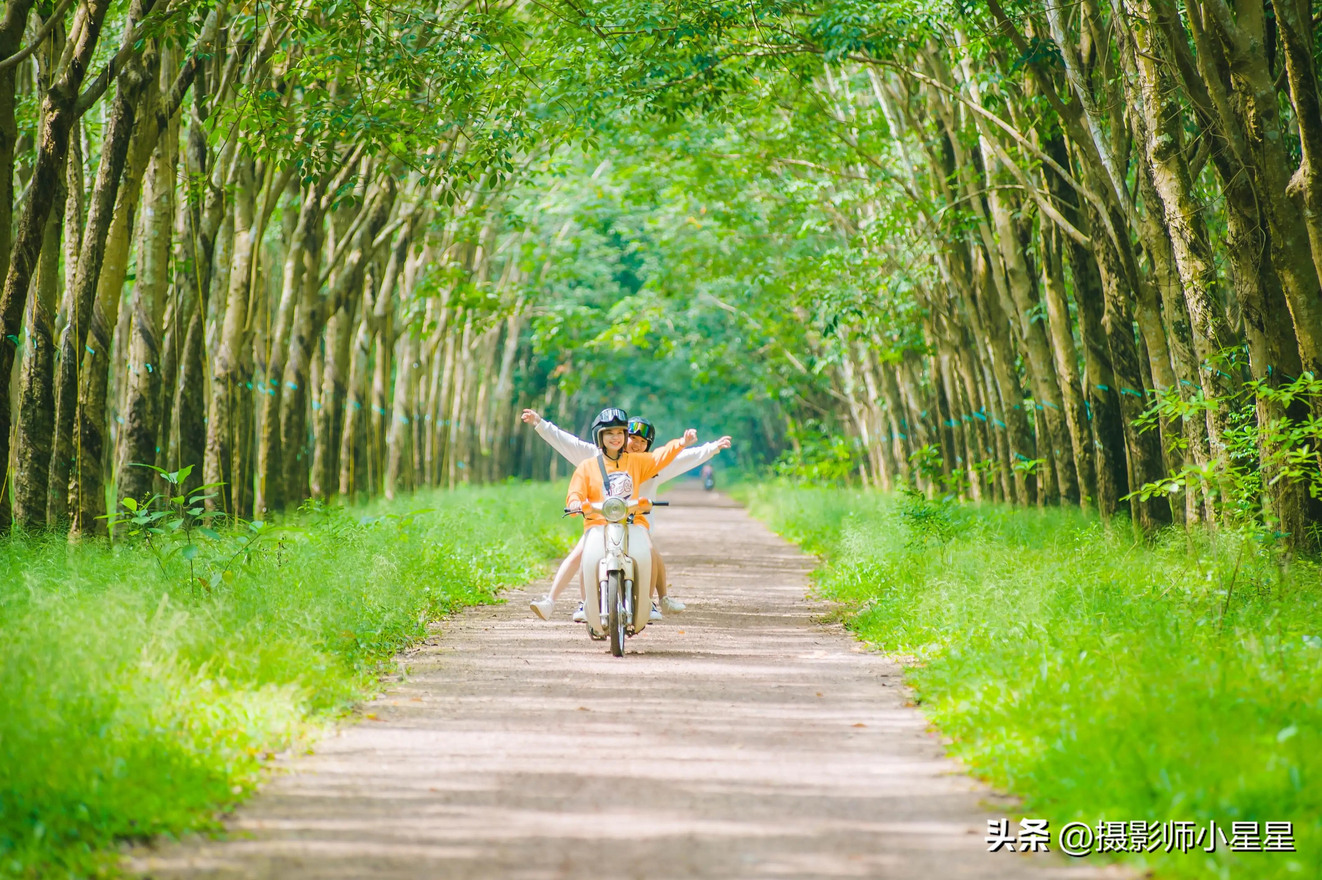 夏天绿色之美,夏天的绿色之美