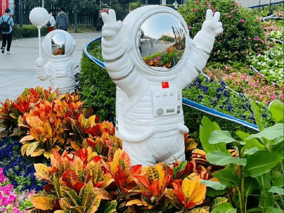 看病人送什么鲜花好,看望病人送什么鲜花最合适