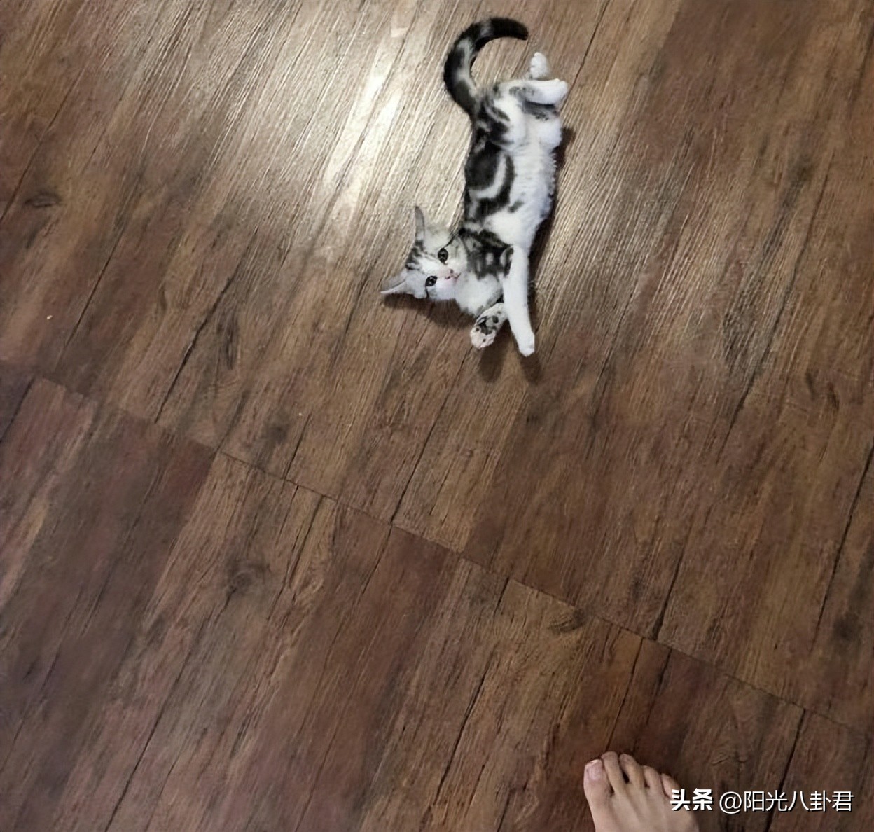 杨颖早期魅惑烟熏妆曝光,杨颖脚趾甲被吐槽不美观