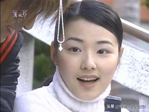 薰衣草从零开始,薰衣草诠释爱情