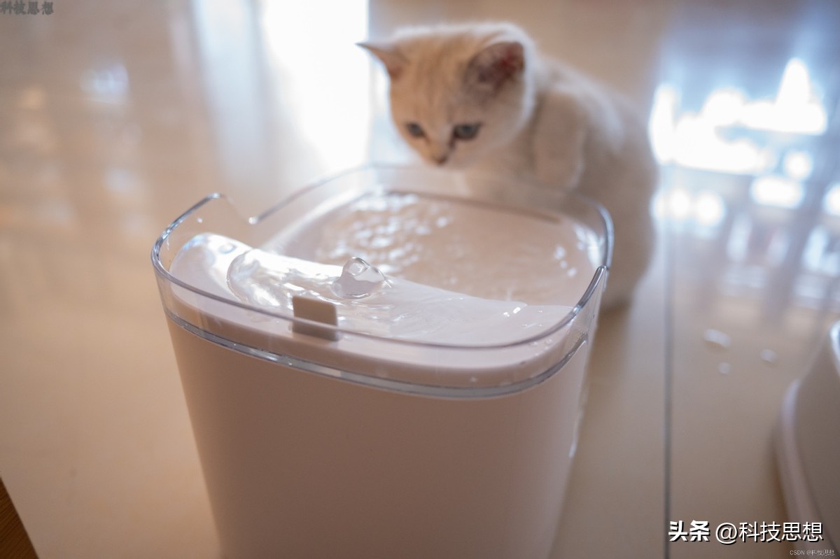 猫咪喝水神器智能不插电恒温,猫咪智能喂水器