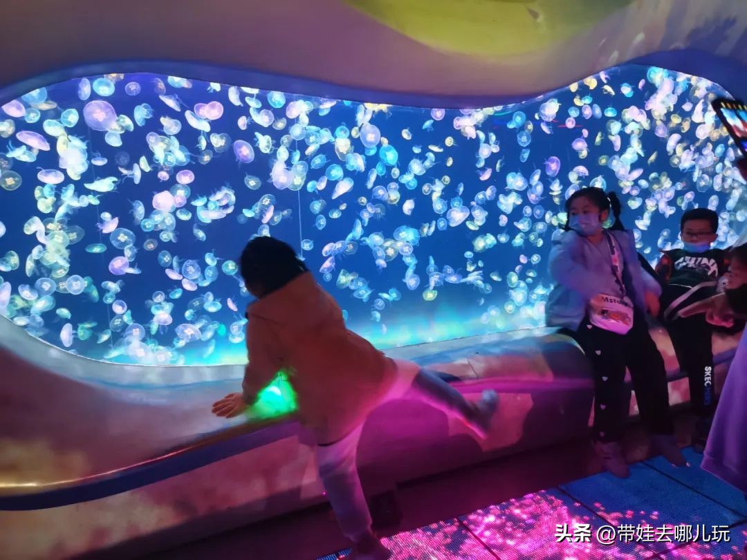 天津海昌极地海洋公园冬天营业吗,天津海昌极地海洋公园游玩攻略