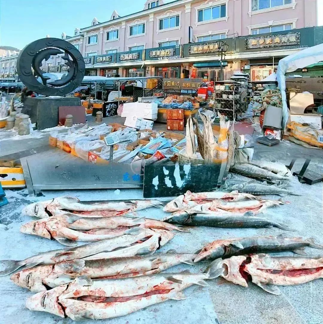 东北旅游吃江鱼哪里好,抚远东极鱼市详细攻略