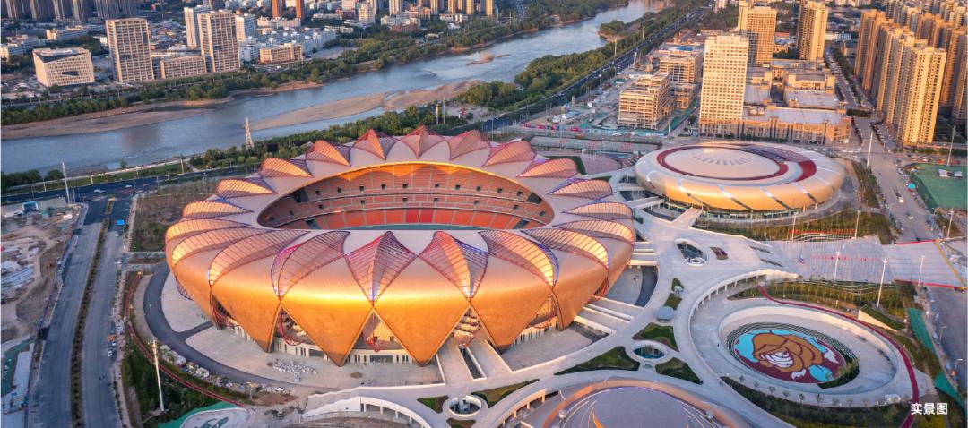 刘爱玲女足中场大师,女足刘爱玲个人简历