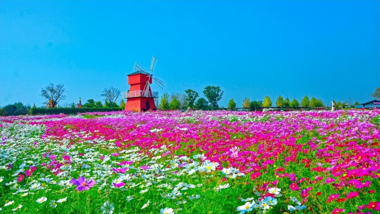 湖北宝藏旅游景点,湖北的宝藏旅行地恩施
