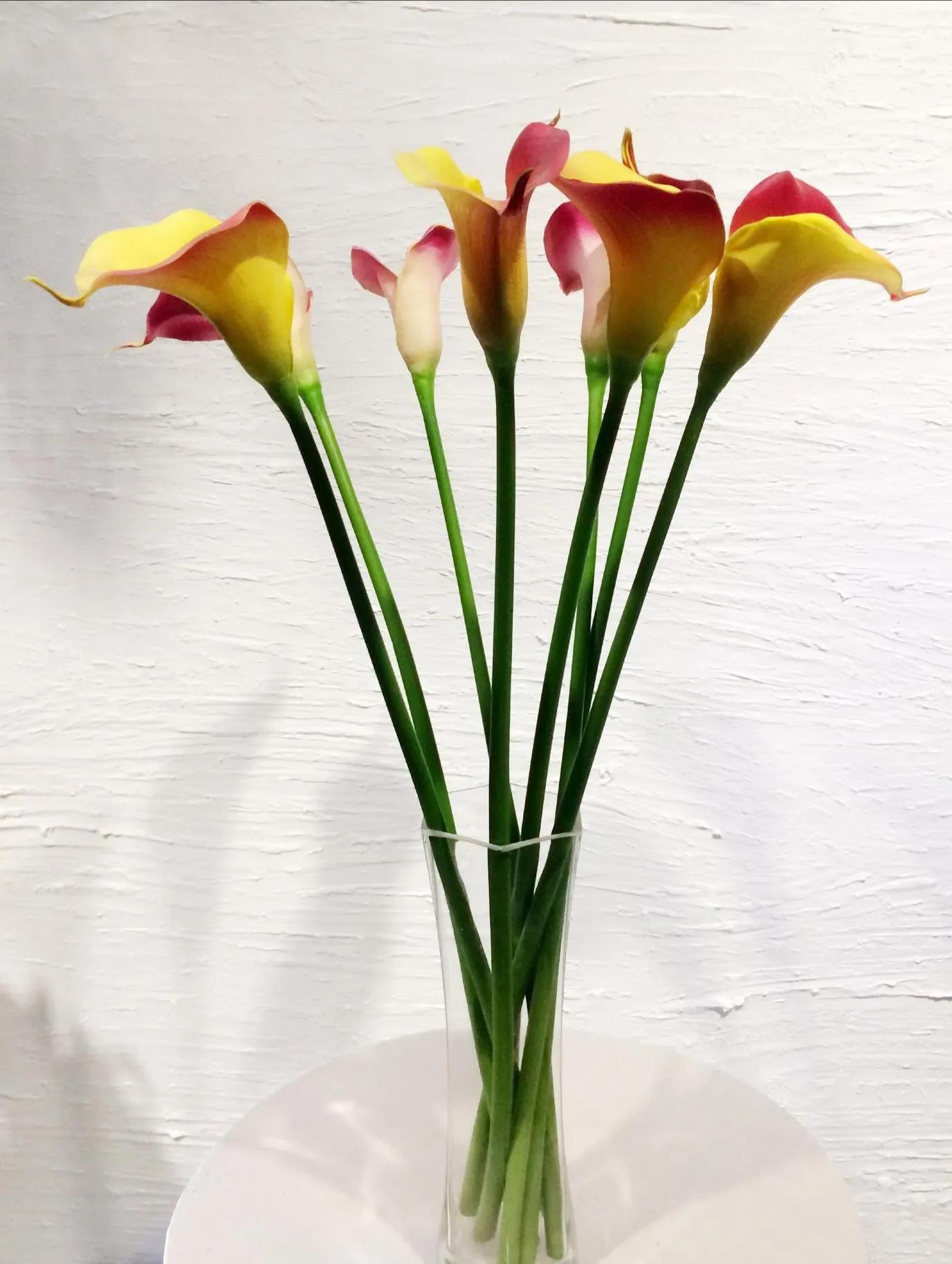 抄书打卡哪些题材能够增加阅读量,写作素材积累打卡