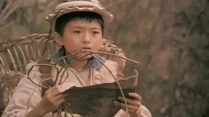 80年代著名童星有哪些,80年代的童星有谁