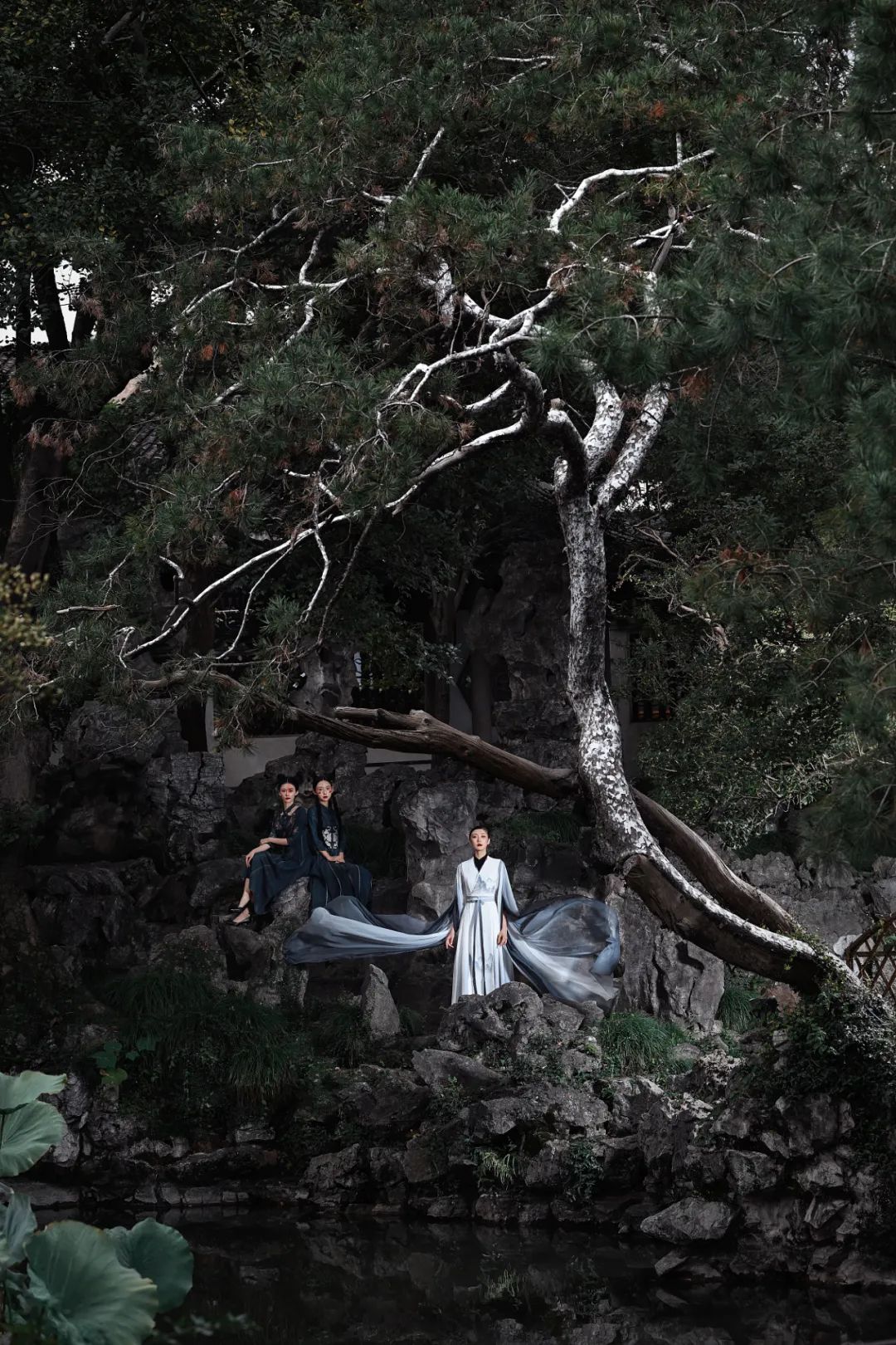 z9对焦测评,z9如何提高预拍的对焦精准