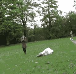 这个抹胸裙是怎么保证它不掉下来的？