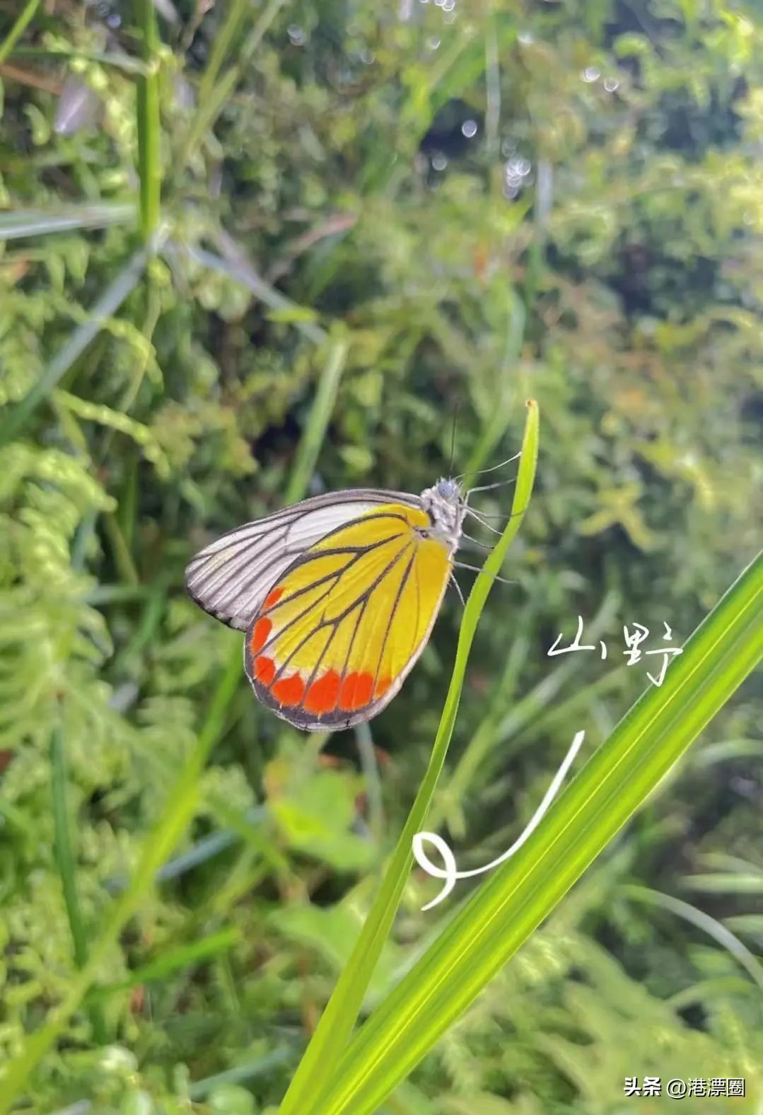 踏遍万水千山饱览各种景观,踏遍美丽的地方