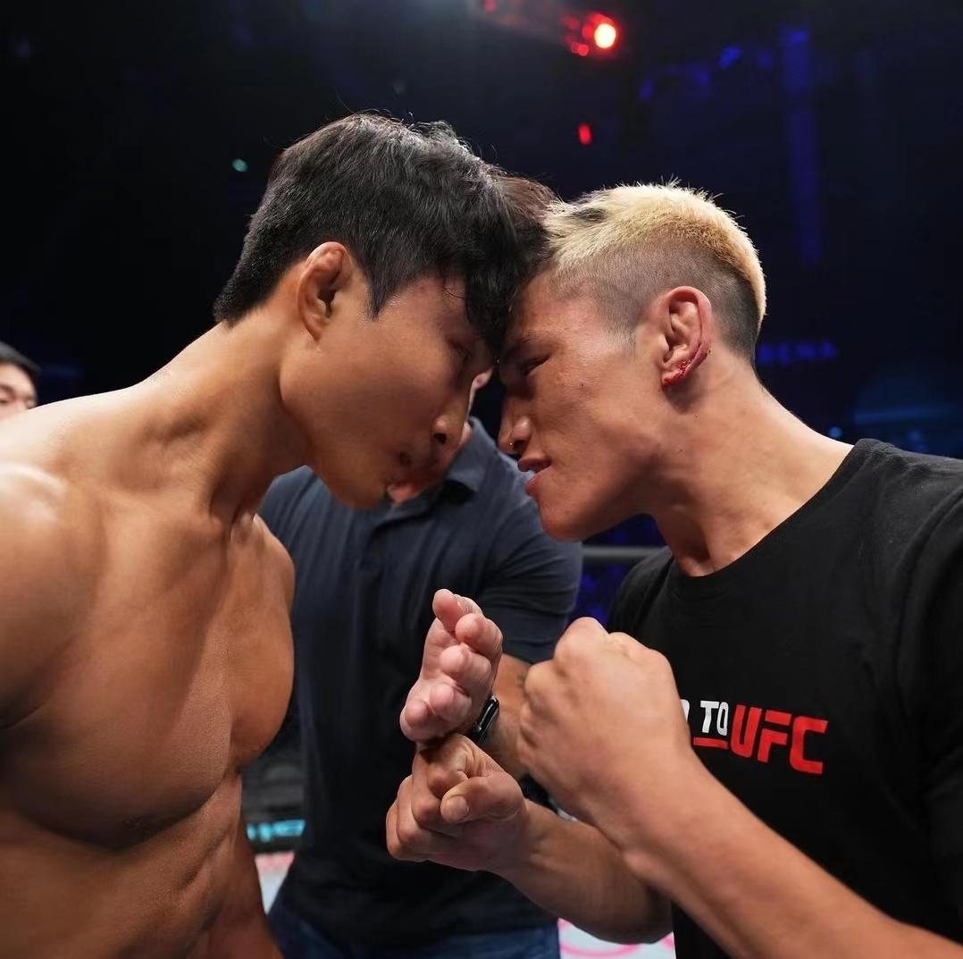 中国ufc第一人有多强,中国最先进的ufc第一人