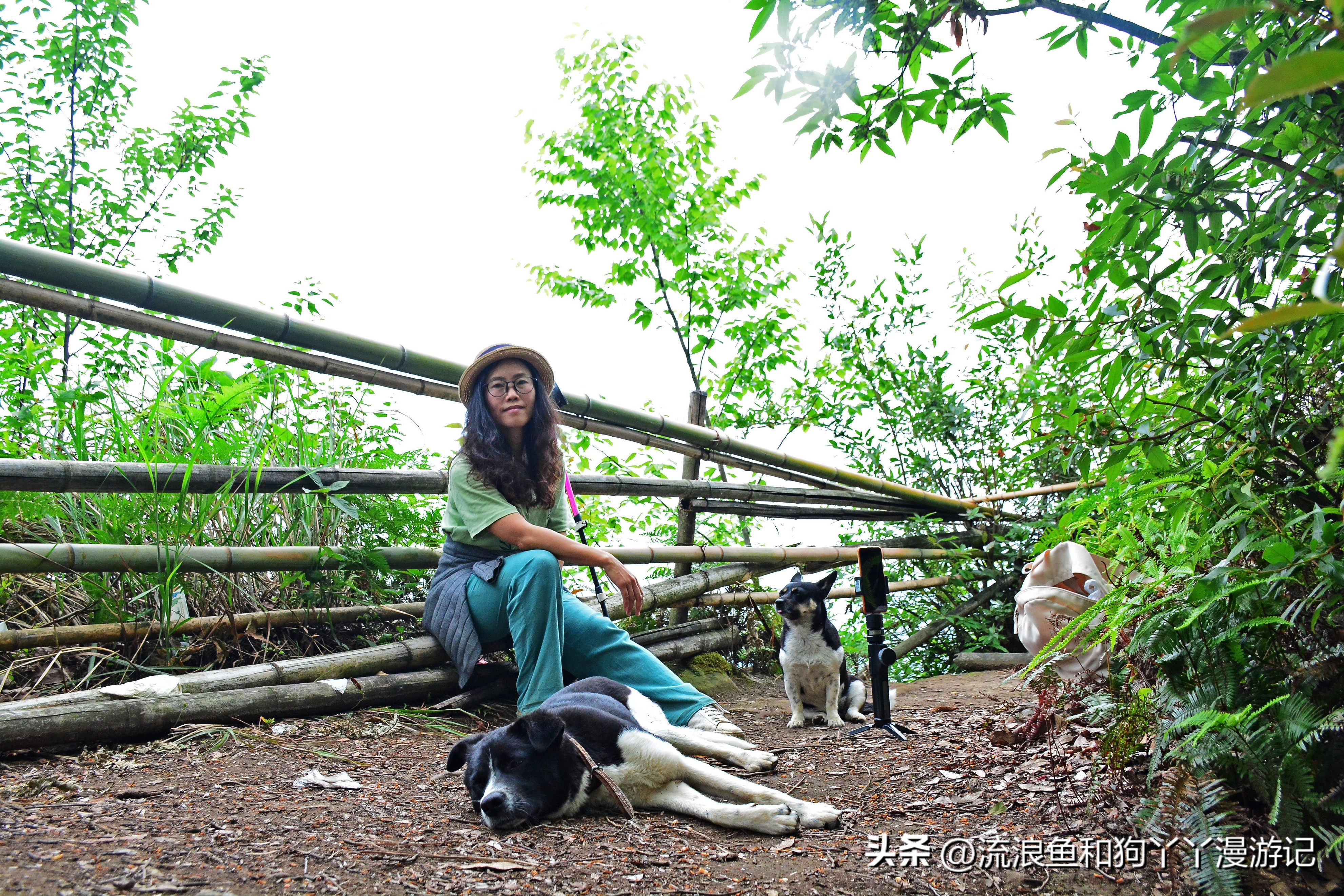 四月份成都近郊一日游好去处,2022成都近郊看雪一日游最佳去处