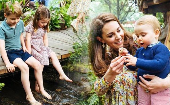 夏洛特小公主长大,夏洛特长大后图片