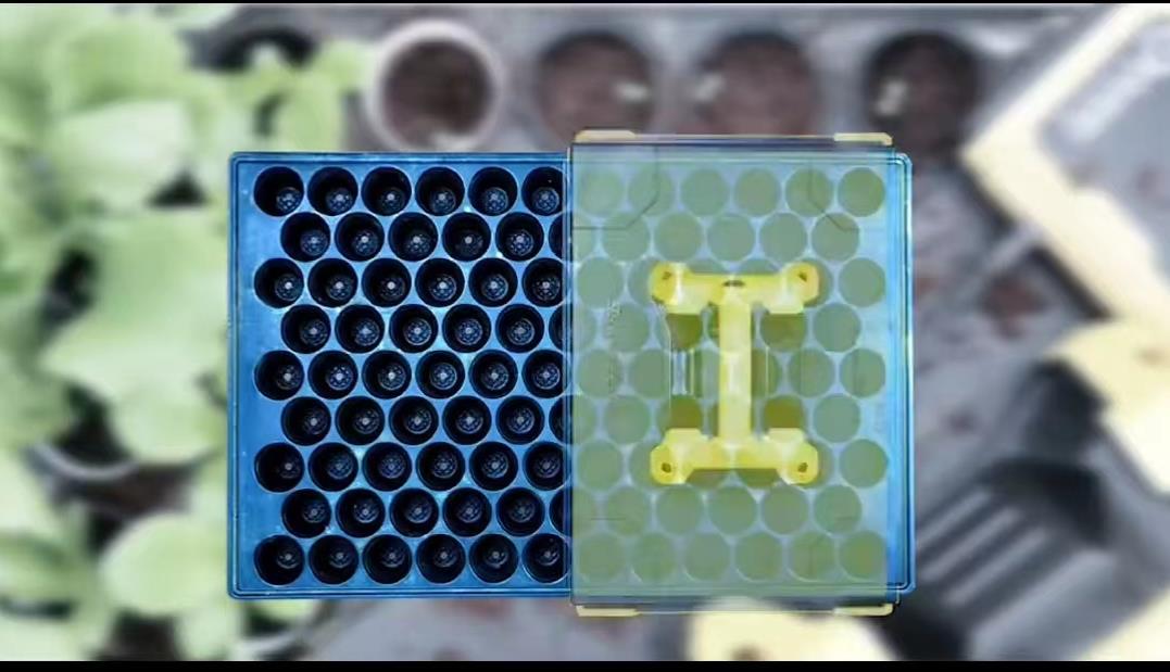欧洲家庭农场种植技术,小型先进农业工具