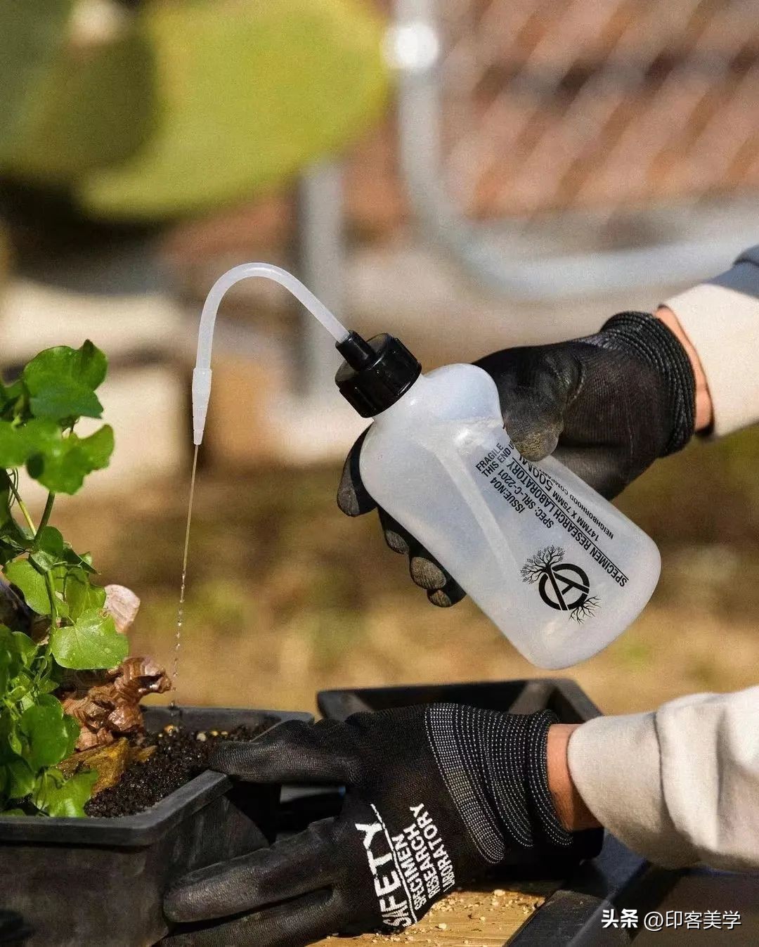 年轻人为“丑东西”买单，是智商税吗？