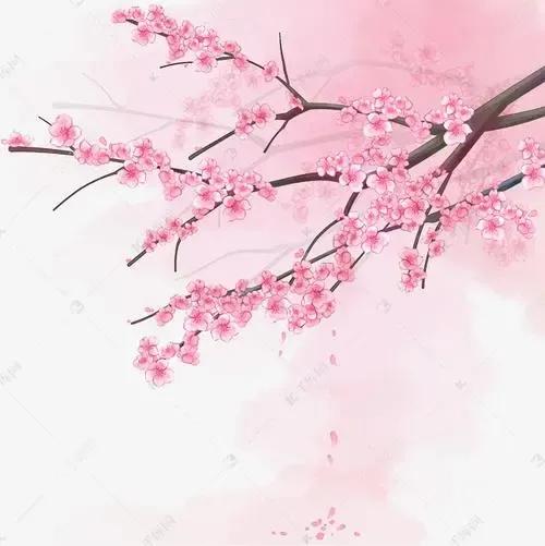 春意盎然桃花绝美诗句,关于桃花浪漫的古诗词大全