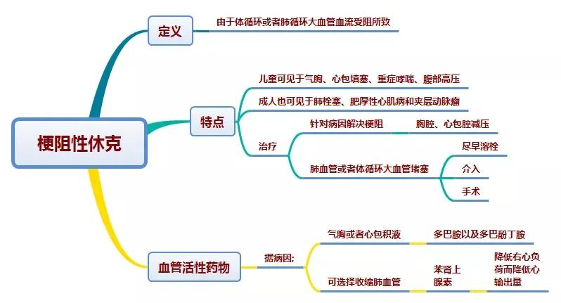 抗休克治疗中缩血管药物使用原则,不同时期休克用药
