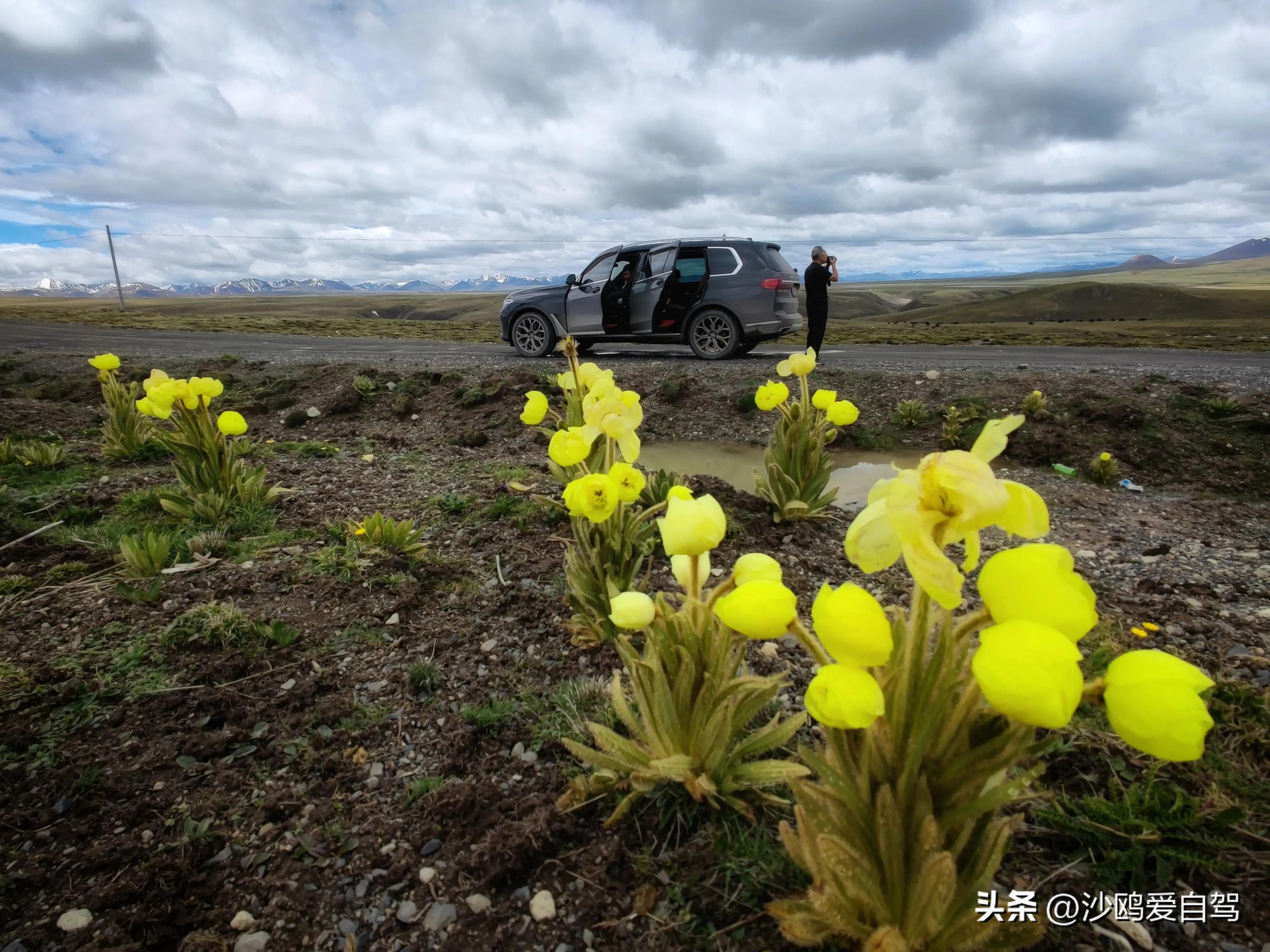 西藏自驾游三大圣湖,自驾西藏行摄之旅米堆冰川