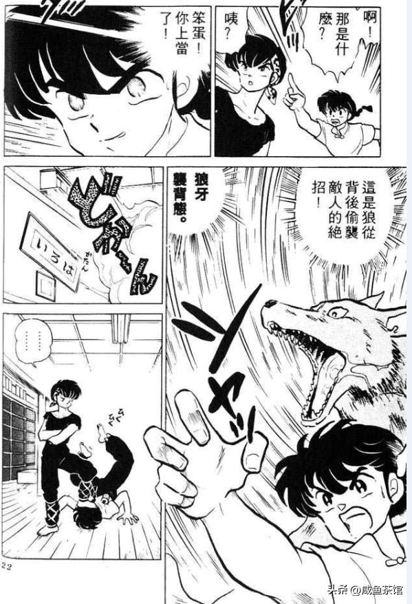 乱马12部分详解,乱马的招式