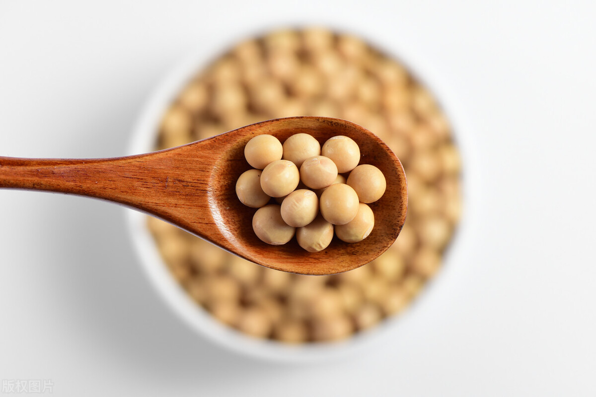 大豆还会涨价吗今日大豆价格,大豆行情今日大豆最新价格