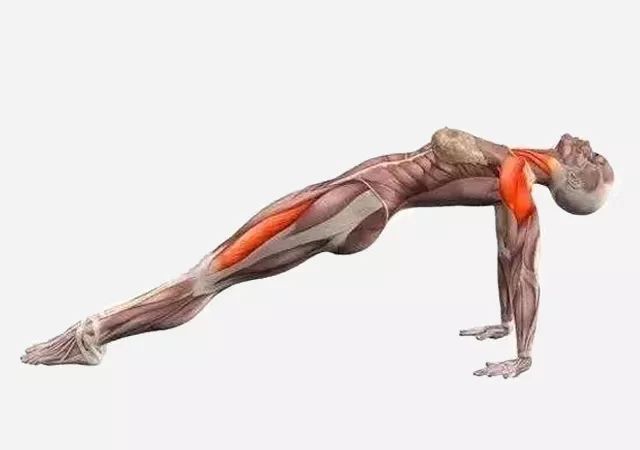 练瑜伽反板式腿抽筋,手腕疼?这样调整就对了