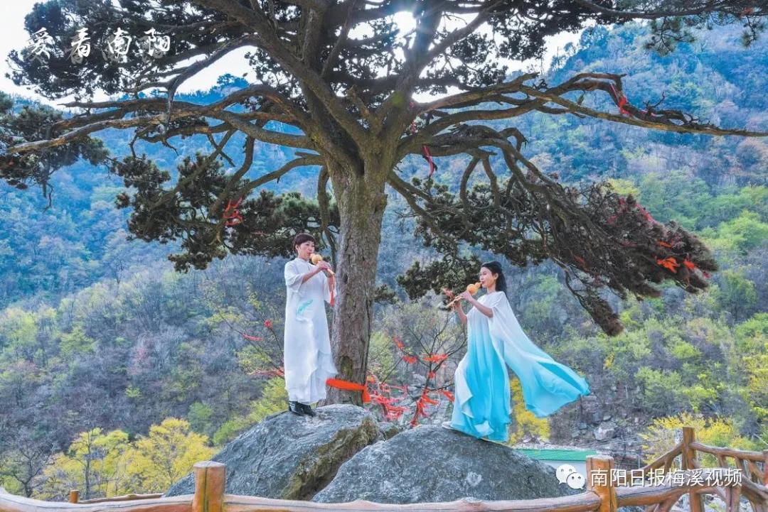 爱看南阳㉟你好2022，再见2021