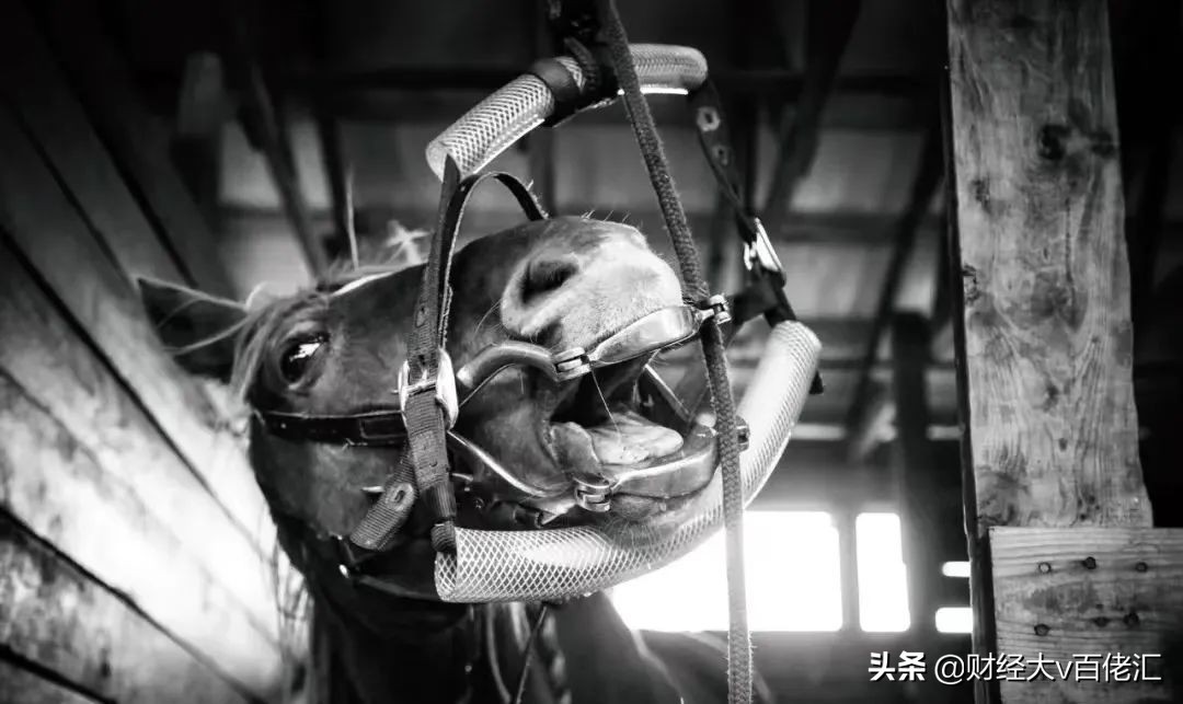 高瓴张磊最近的新消息,高瓴张磊目前状况