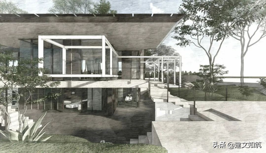 waf2023世锦赛,waf国内排名