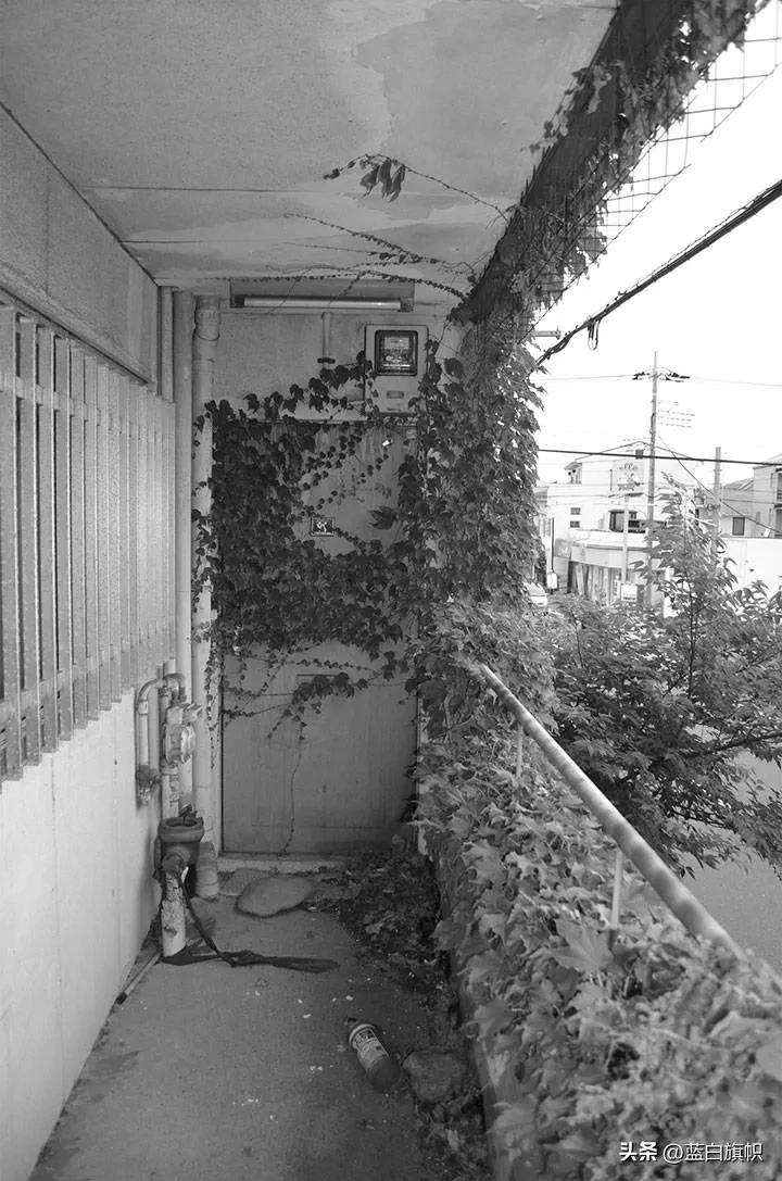 日本白送房子背后的原因,房子白送无人接盘