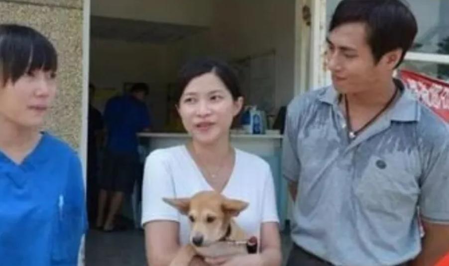 台湾女孩简稚澄,台湾女子给狗狗安乐死