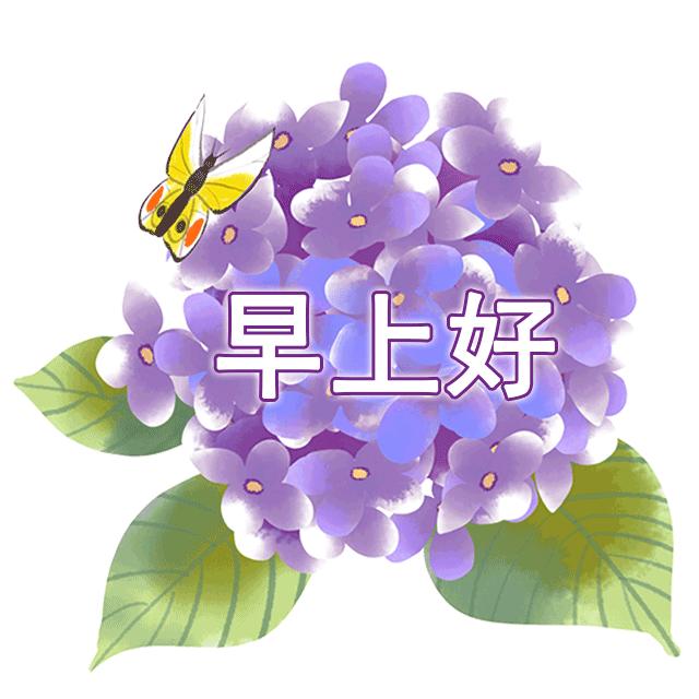 分享快乐早安图片,分享早安图片最新版