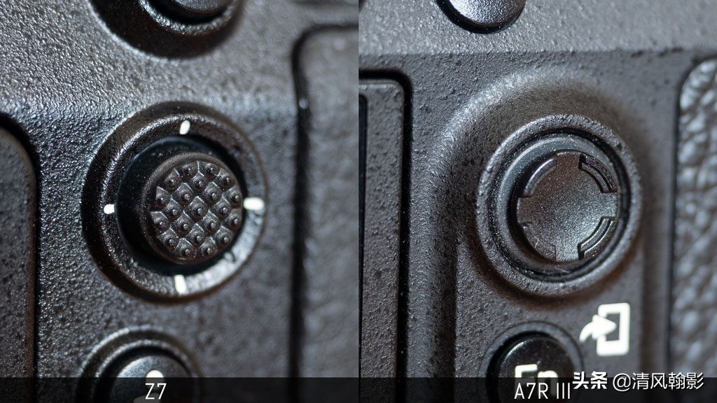 拍鸟用尼康d6好还是z7ii好,拍鸟买r6还是r5