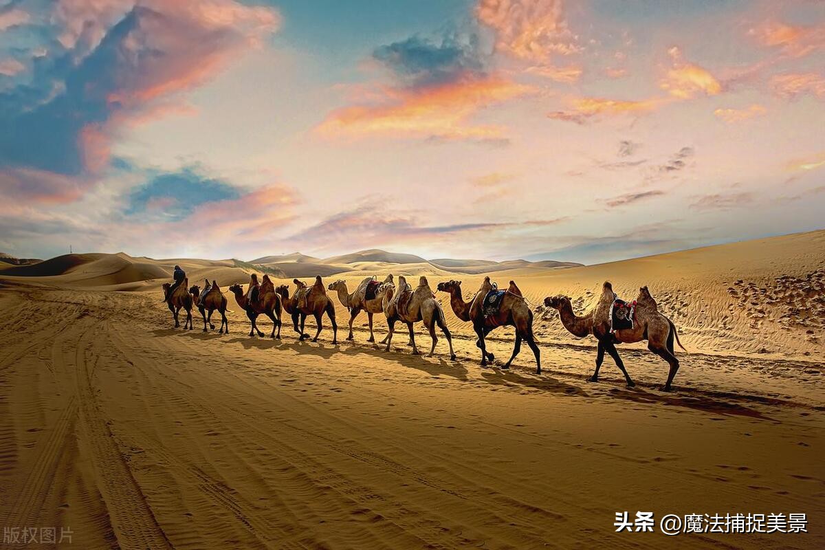 内蒙古主要旅游景点有哪些,内蒙古有哪些旅游景点值得去