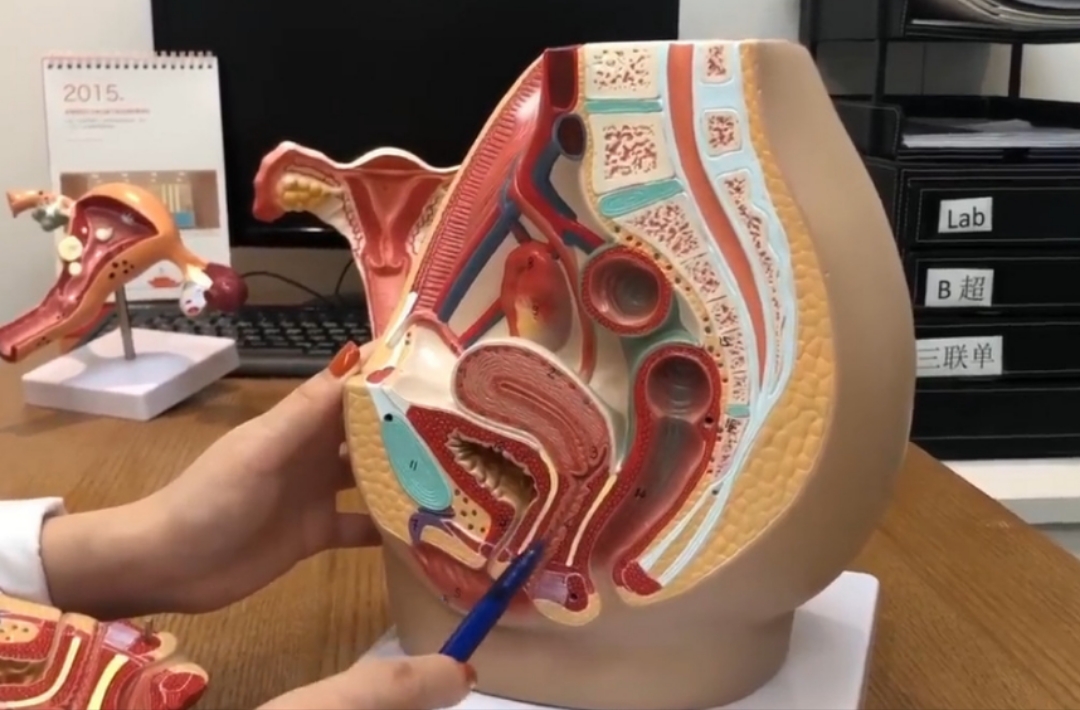 女生会有什么难言之隐,女人有难言之隐的怪病