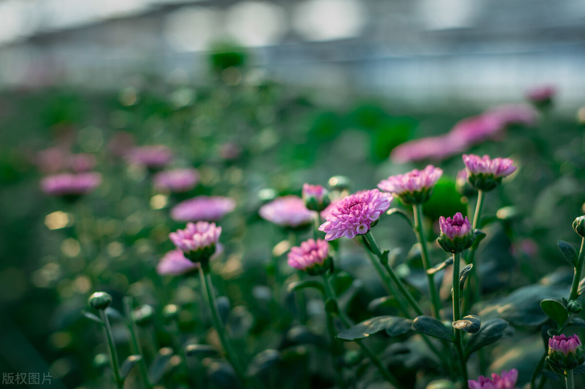 儿女跟父母不亲都是父母的原因,子女和父母不亲的原因