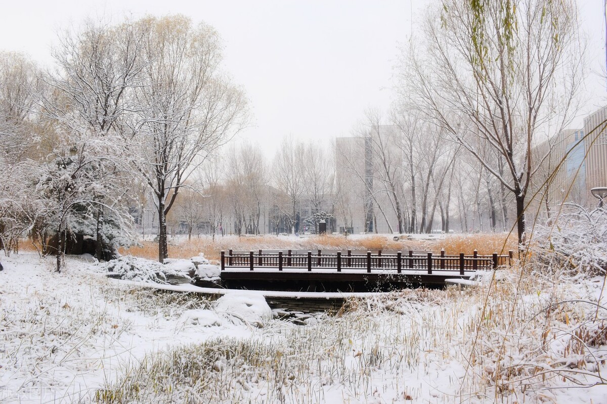北航北理哈工大同济怎么选择,中国科学技术大学和北航分数线