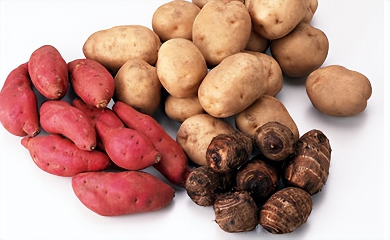 各种豆类杂粮大全,五谷杂粮中的豆类有哪些