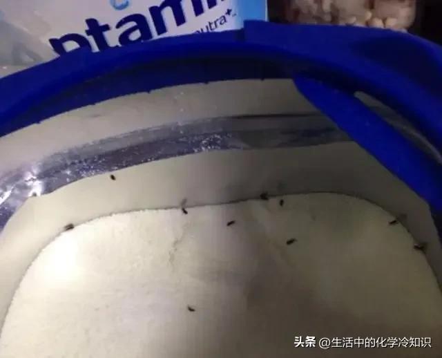 爱他美卓萃长虫子了？先来分析一下哪里出问题了