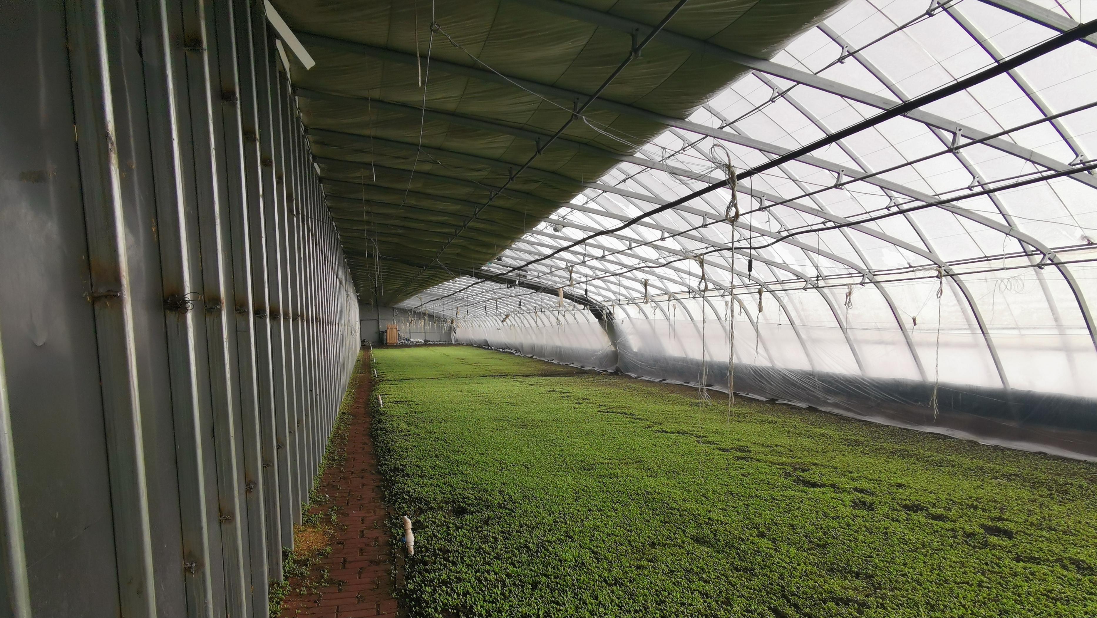 有哪些智能温室好选择,智能温室与智慧温室的区别