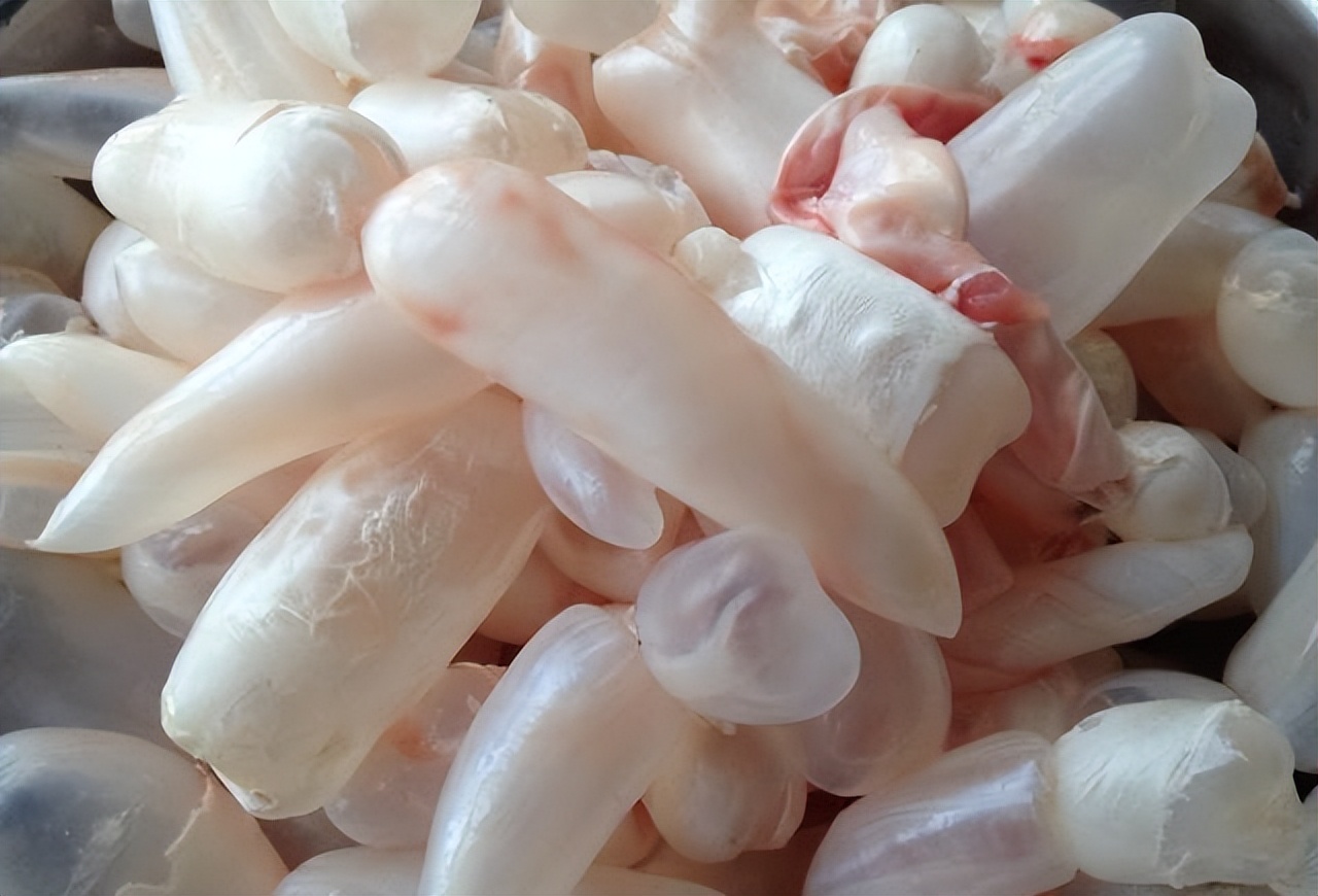 以前古代都怎么避孕的,古代没有避孕怎么办