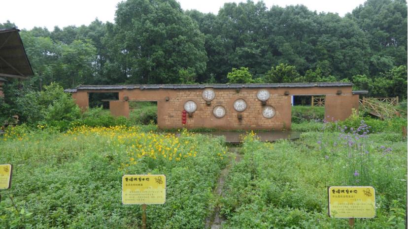 50亩以内的小农场如何盈利,搞一个5亩的小农场要投资多少钱