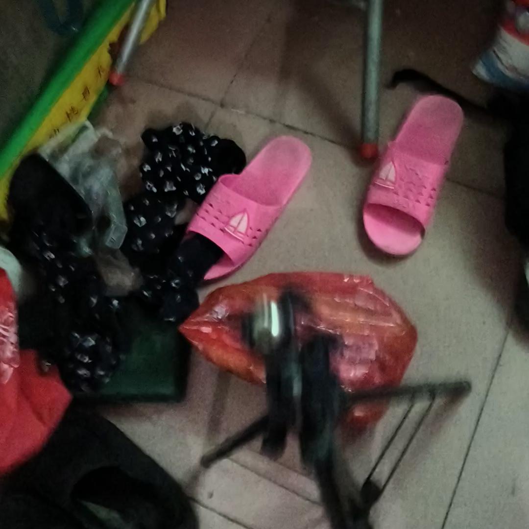 谁知道这是什么蘑菇,谁知道这是什么动漫