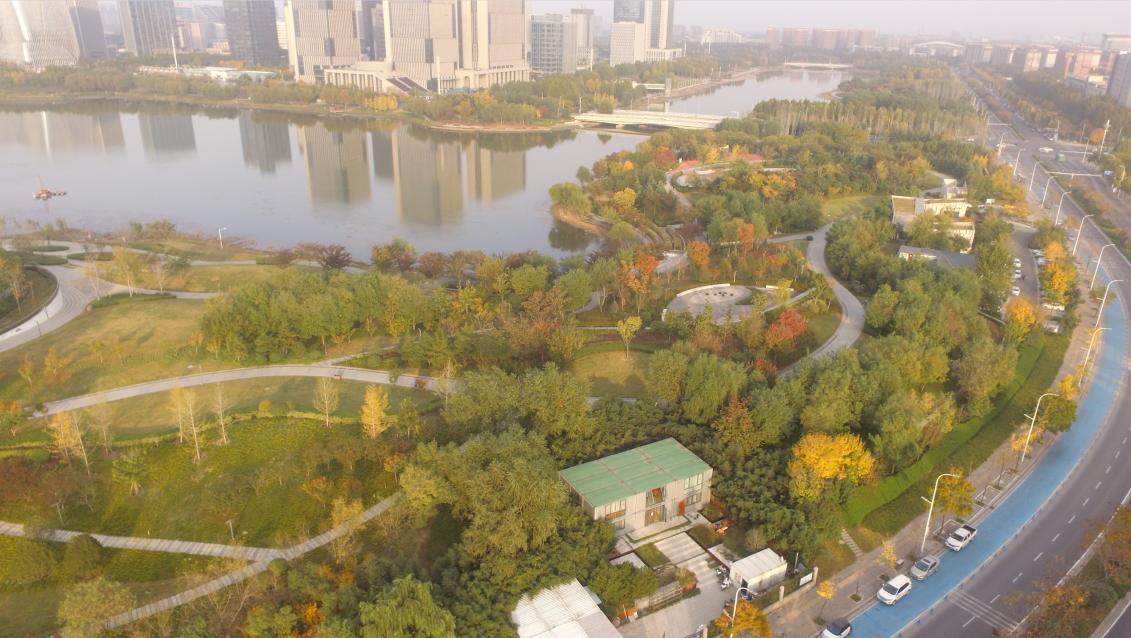 荣获奖项的喜报,棕榈奖名单曝光