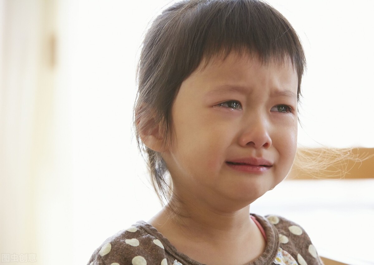 cici育儿,小小的乌龟宝宝该怎么养