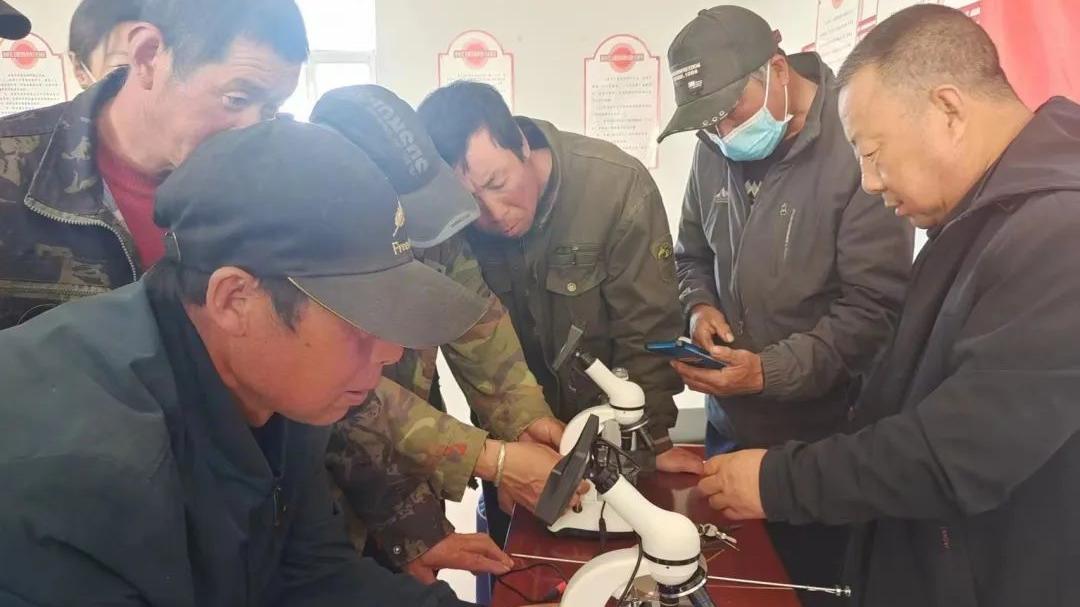 全盟肉牛产业高质量发展技术培训,内蒙古肉牛产业高质量发展