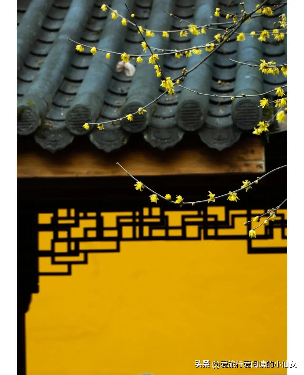 杭州旅游景点大全免费,杭州富阳免费景点大全