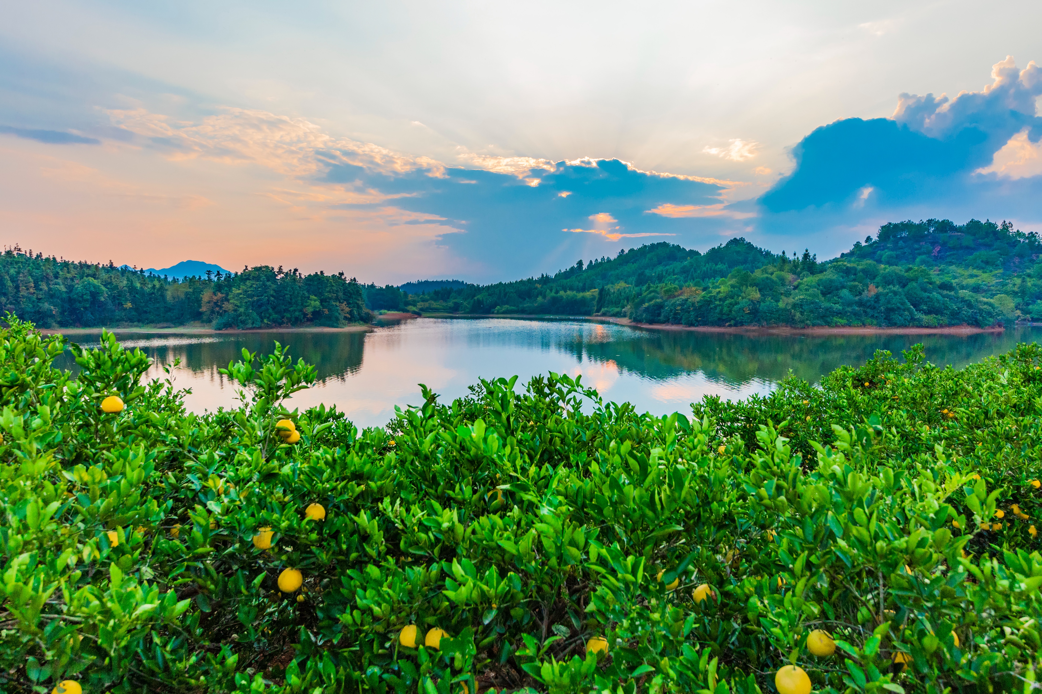 反映中国农村向城市变迁的纪录片,中国农村改革40年纪录片
