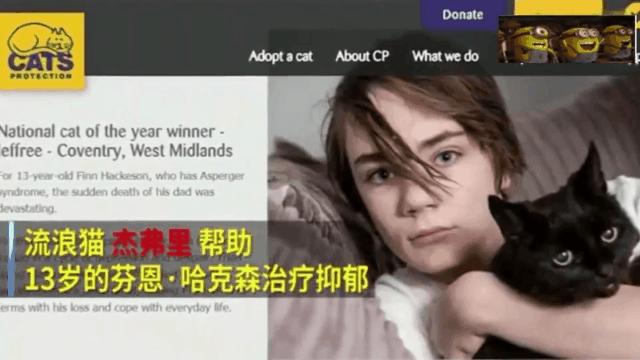 狸花猫也能治病?天才少女如何蜕变成百万级画家