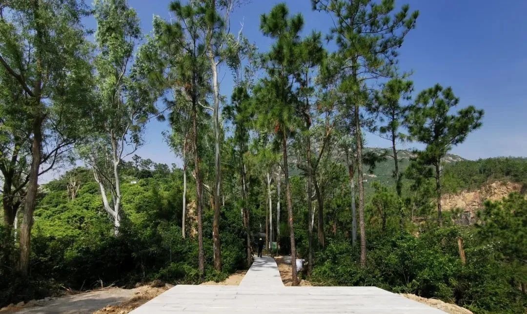 珠海好耍的地方,珠海自由行最好的地方